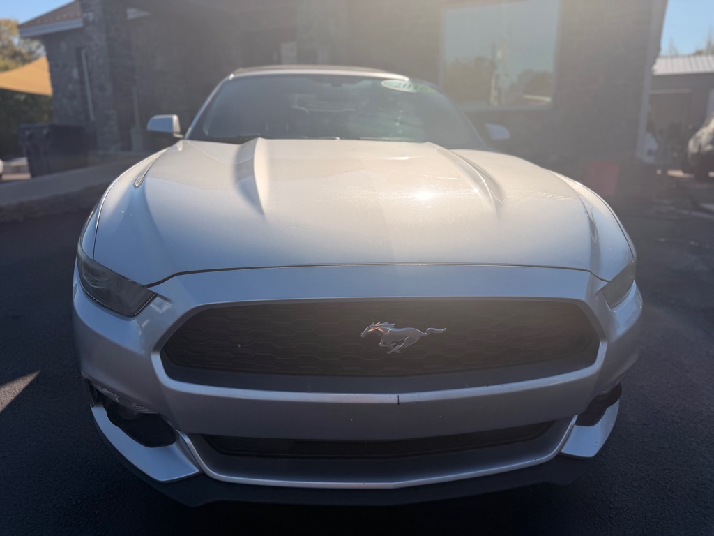 Photo 2 of this FORD MUSTANG