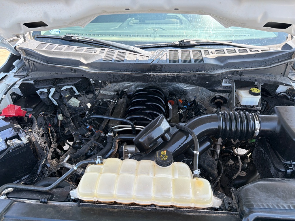 Photo 21 of this FORD F150