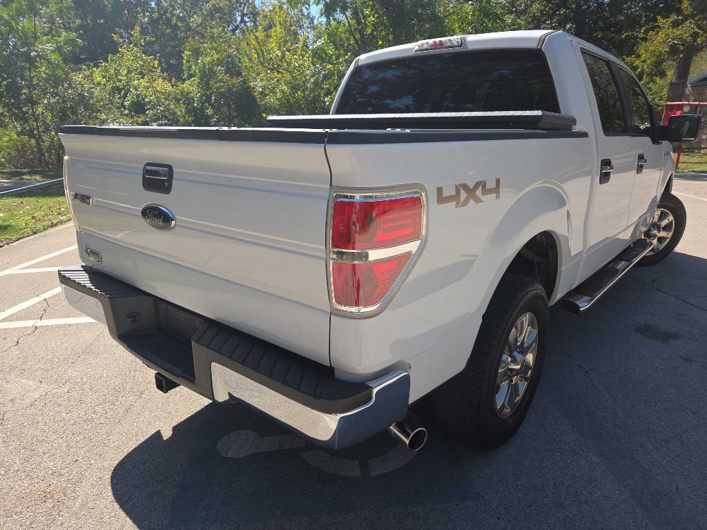 Photo 6 of this FORD F150