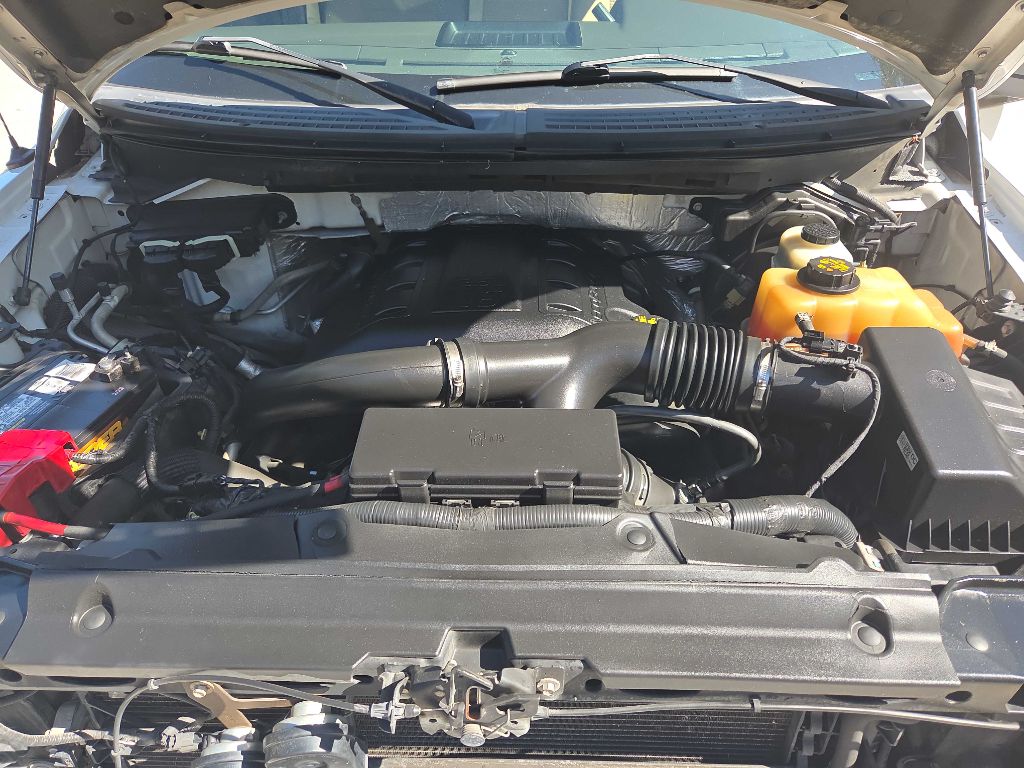 Photo 11 of this FORD F150