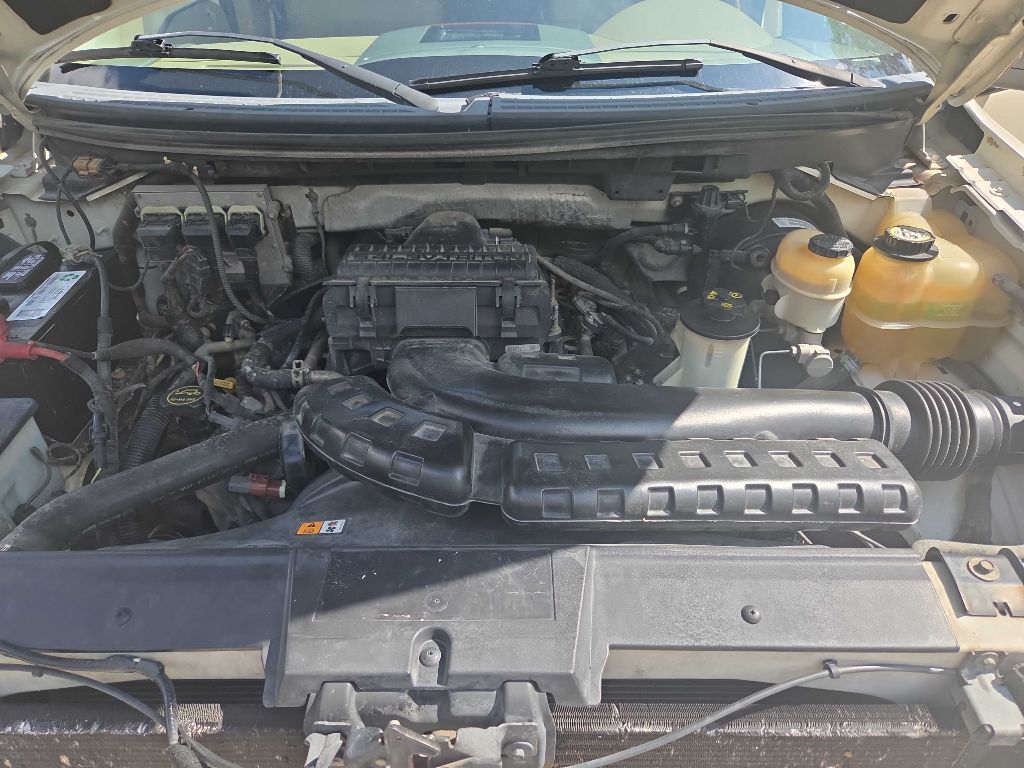 Photo 10 of this FORD F150