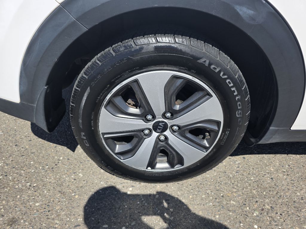 Photo 11 of this KIA NIRO