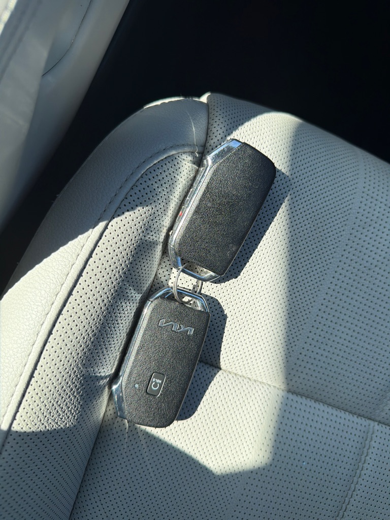 Photo 17 of this KIA TELLURIDE