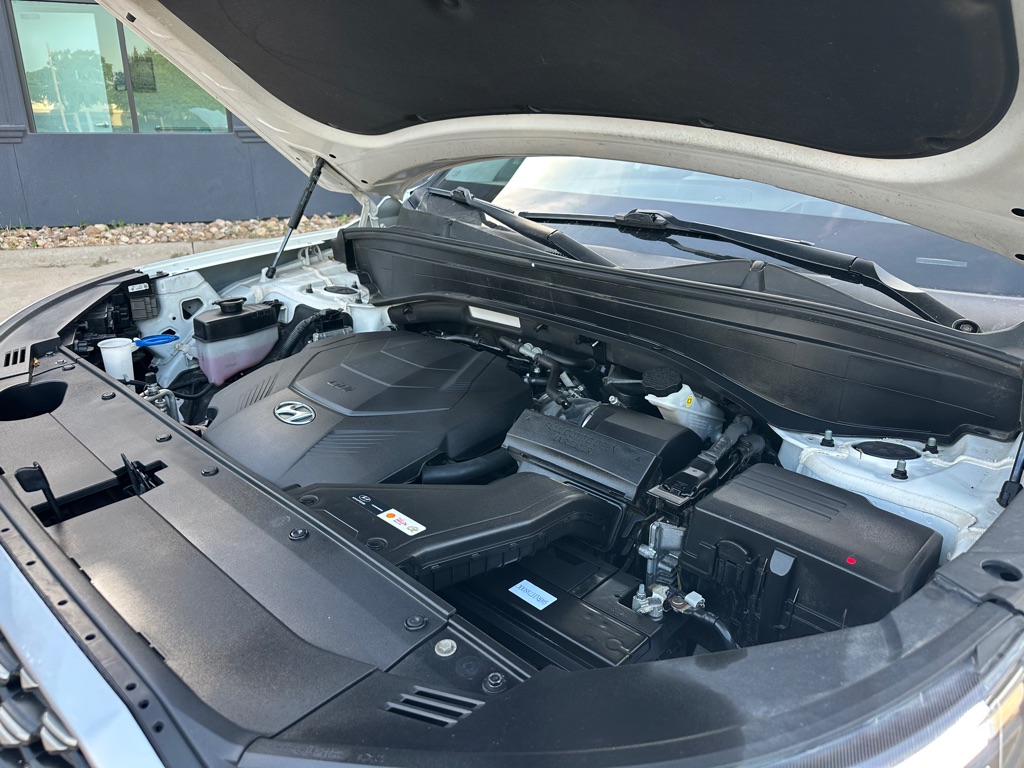 Photo 10 of this HYUNDAI PALISADE