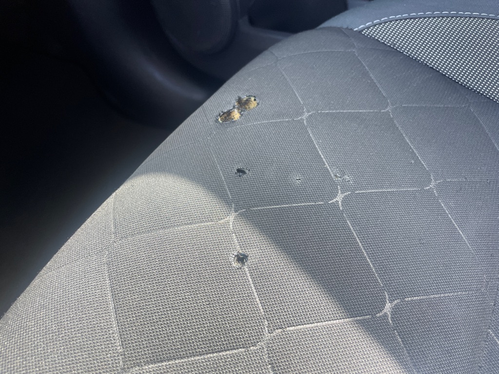Photo 21 of this NISSAN KICKS