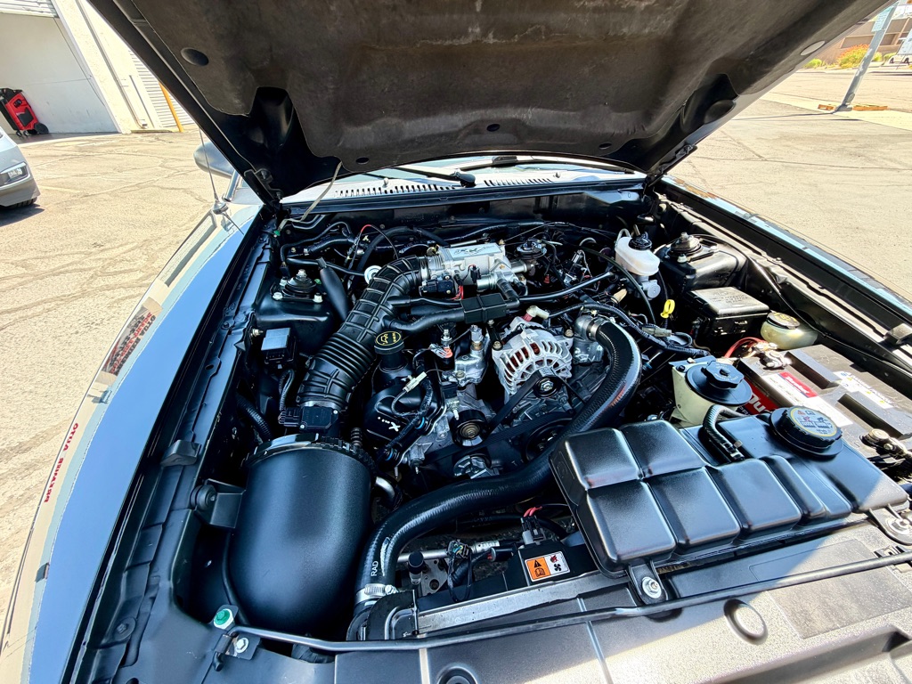 Photo 52 of this FORD MUSTANG