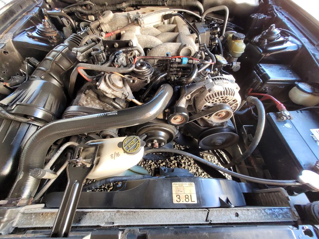 Photo 39 of this FORD MUSTANG