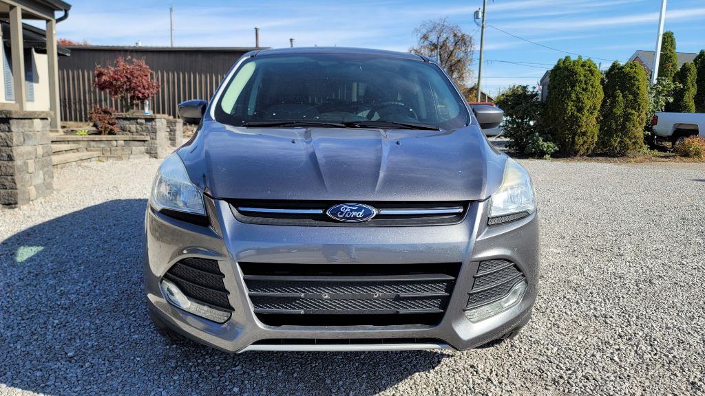 FORD ESCAPE 2014 FORD ESCAPE 1FMCU0GXXEUB24387