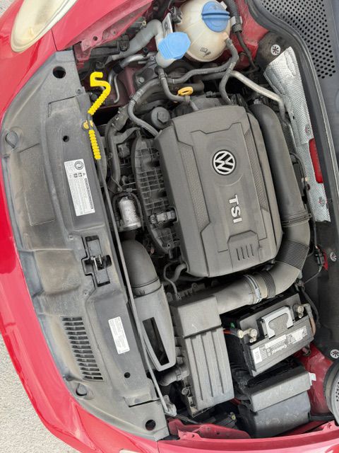 Photo 12 of this VOLKSWAGEN BEETLE