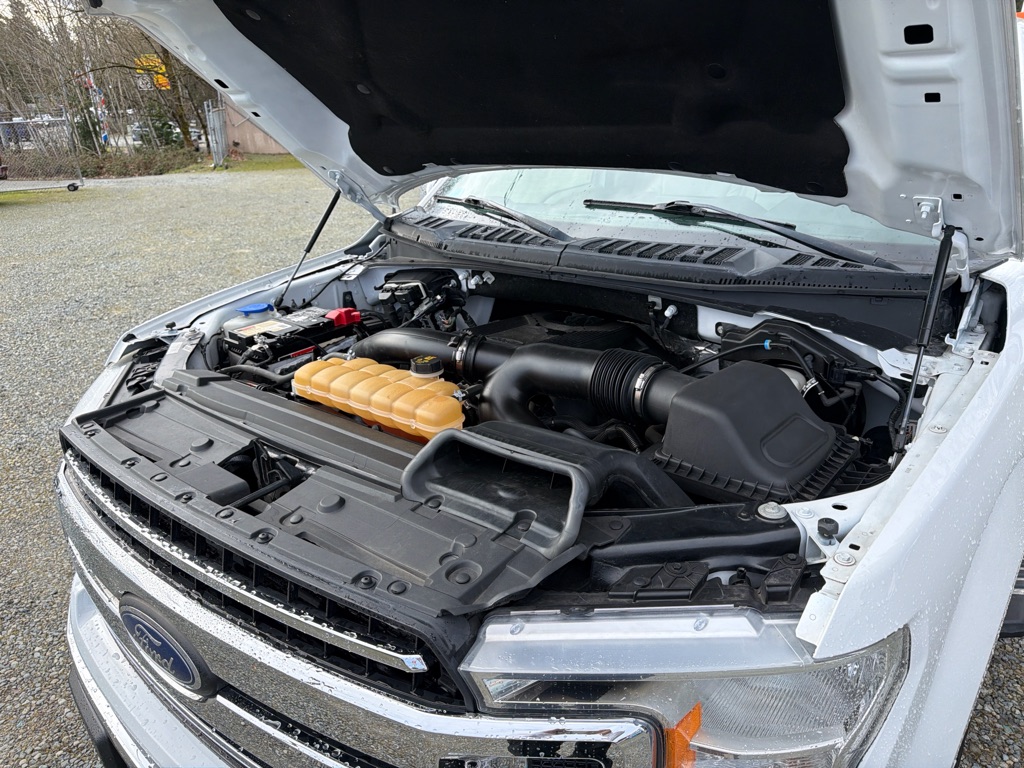 Photo 19 of this FORD F150