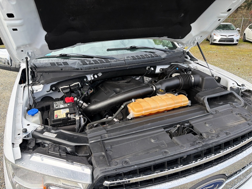 Photo 18 of this FORD F150