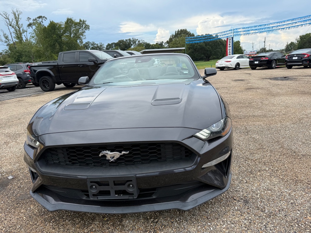Photo 3 of this FORD MUSTANG