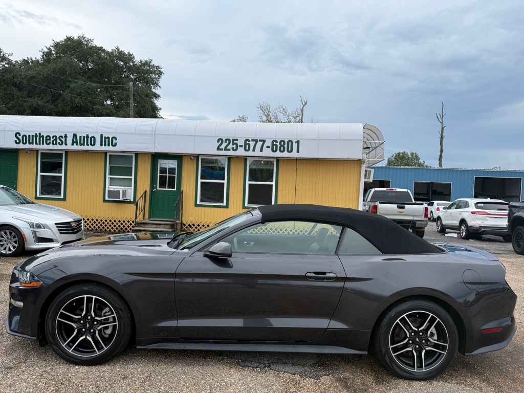 Photo 13 of this FORD MUSTANG