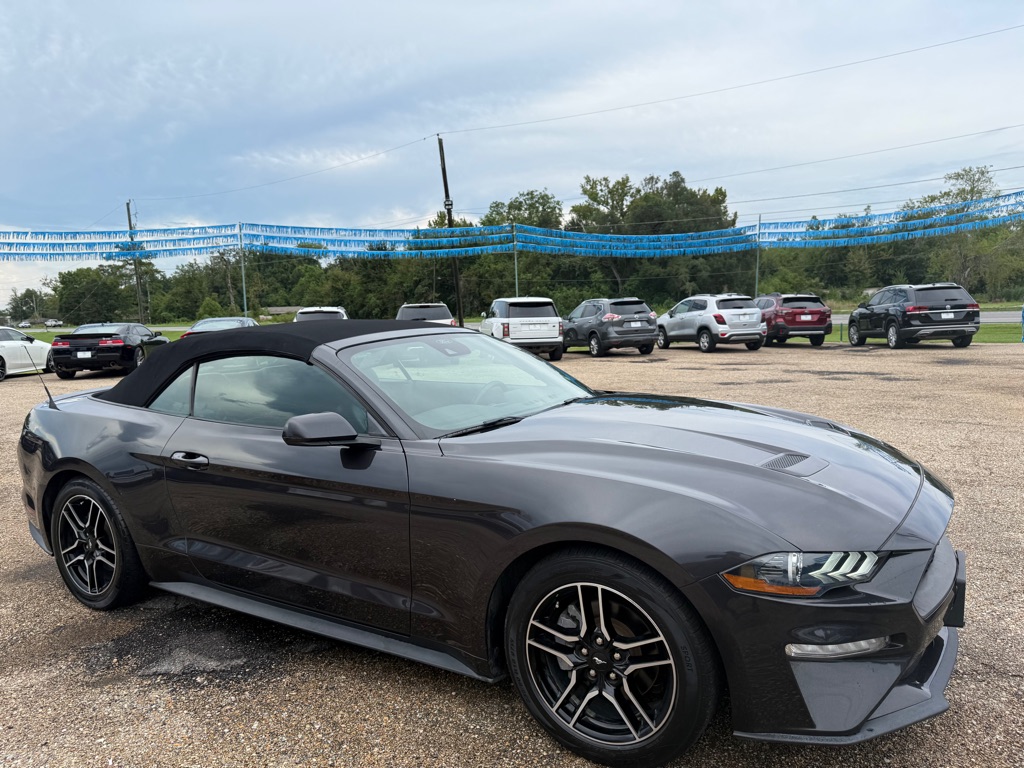 Photo 14 of this FORD MUSTANG