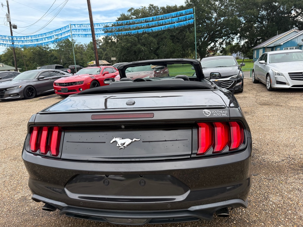Photo 6 of this FORD MUSTANG