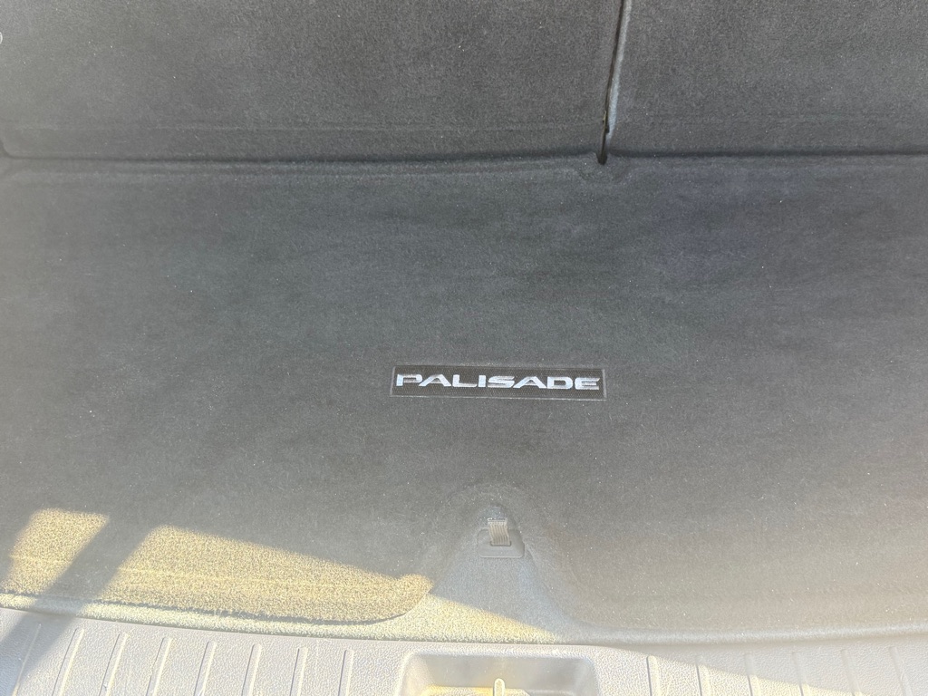 Photo 22 of this HYUNDAI PALISADE