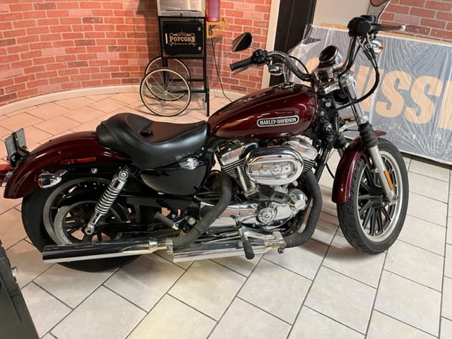 2008 HARLEY DAVIDSON SPORTSTER 1200 MOTORCYCLE for sale at Zombie Powersports