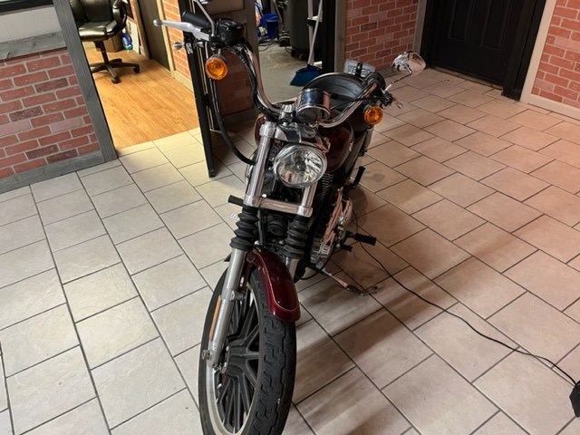 2008 HARLEY DAVIDSON SPORTSTER 1200 MOTORCYCLE for sale at Zombie Powersports