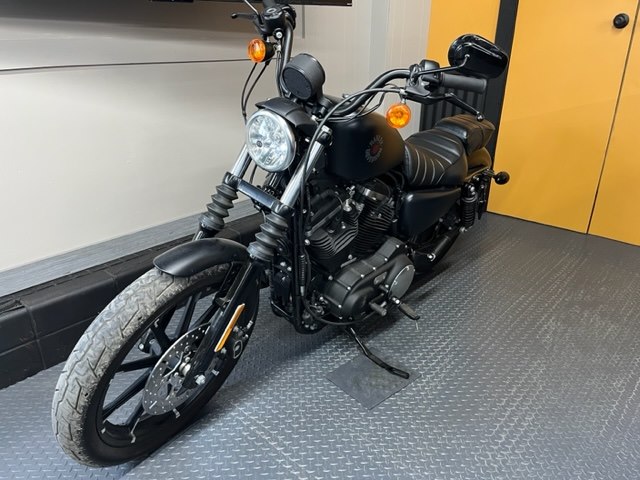 2020 HARLEY DAVIDSON XL 883 MOTORCYCLE for sale at Zombie Powersports