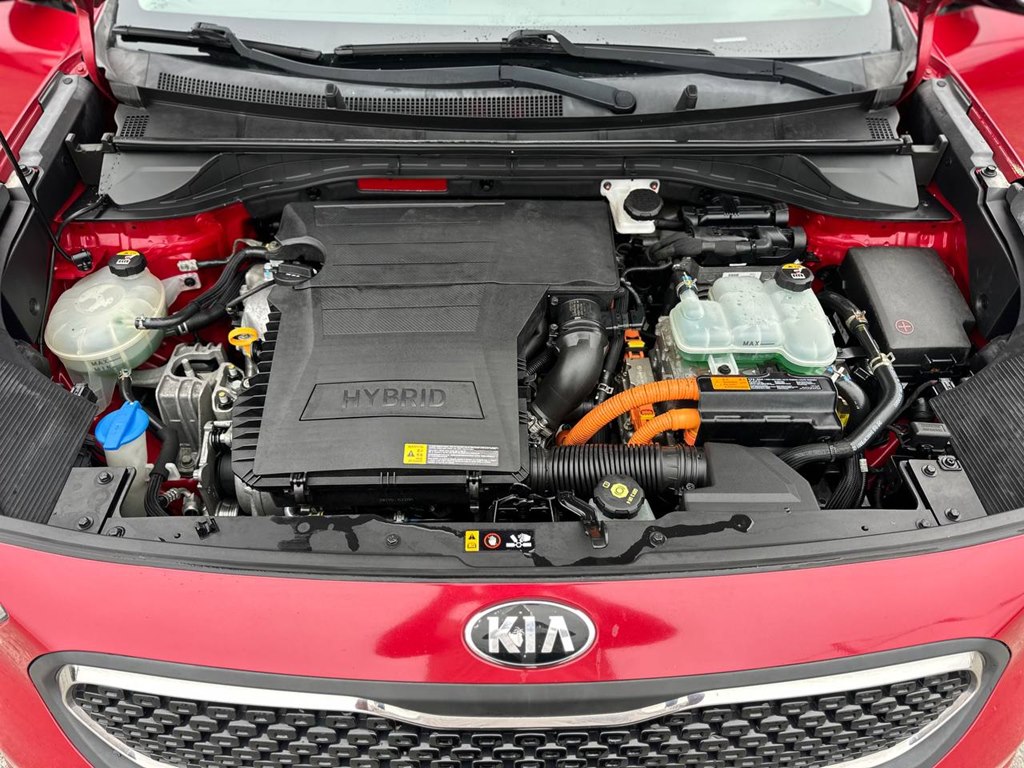 Photo 9 of this KIA NIRO