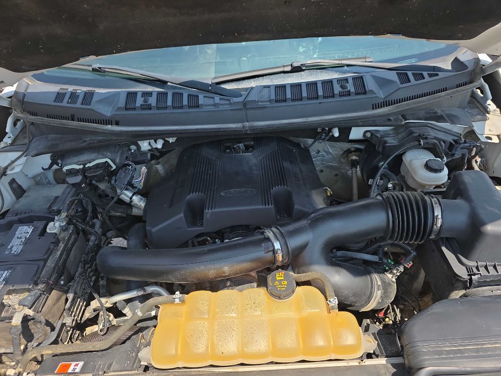 Photo 17 of this FORD F150