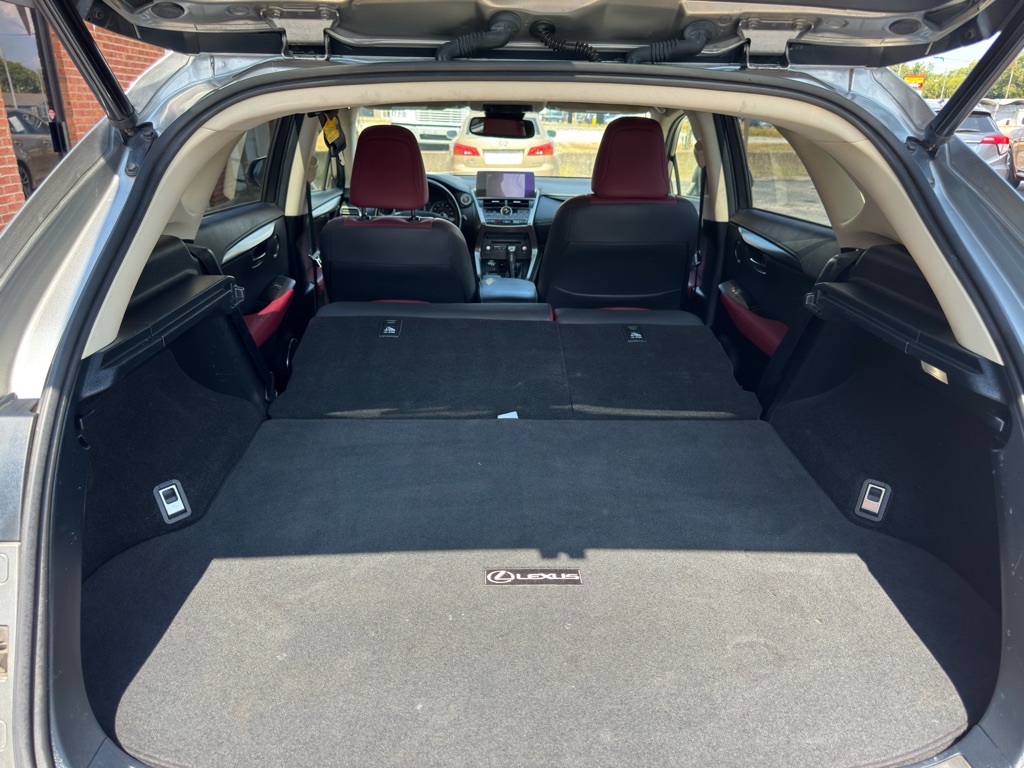 Photo 30 of this LEXUS NX