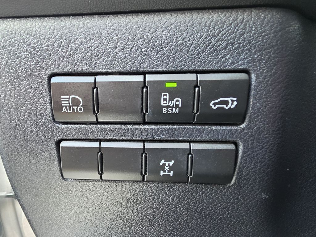 Photo 17 of this LEXUS NX