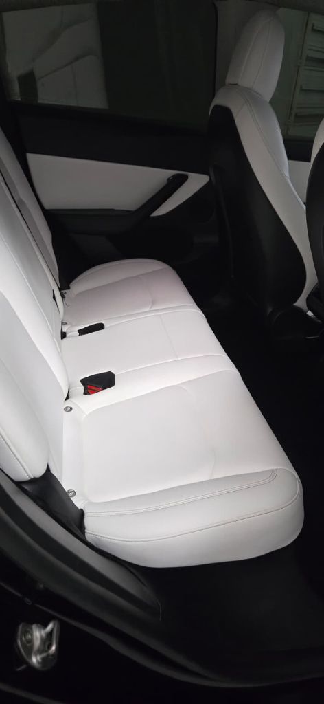 Photo 12 of this TESLA MODEL Y
