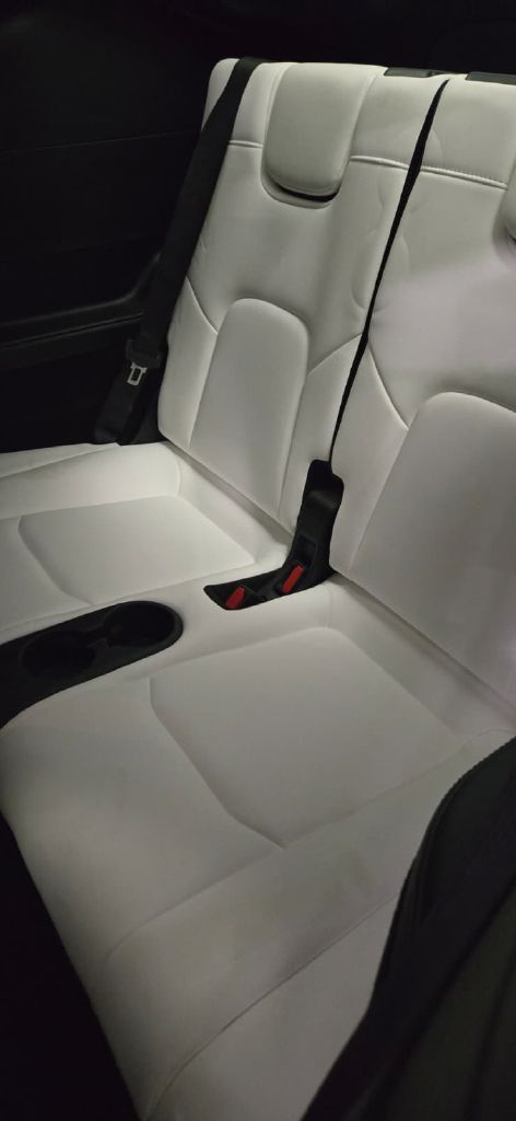 Photo 11 of this TESLA MODEL Y