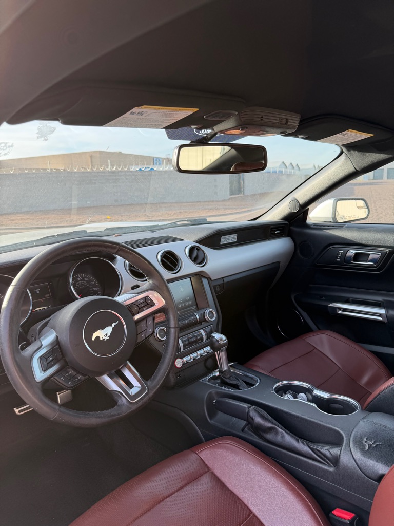 2015 Ford Mustang EcoBoost Premium - Photo 8