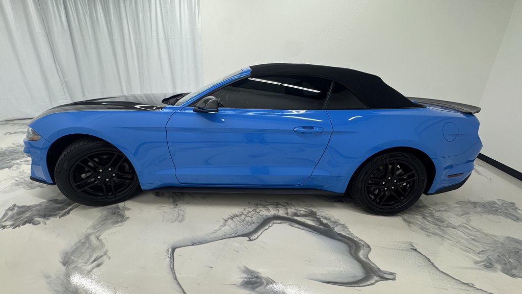 Photo 6 of this FORD MUSTANG