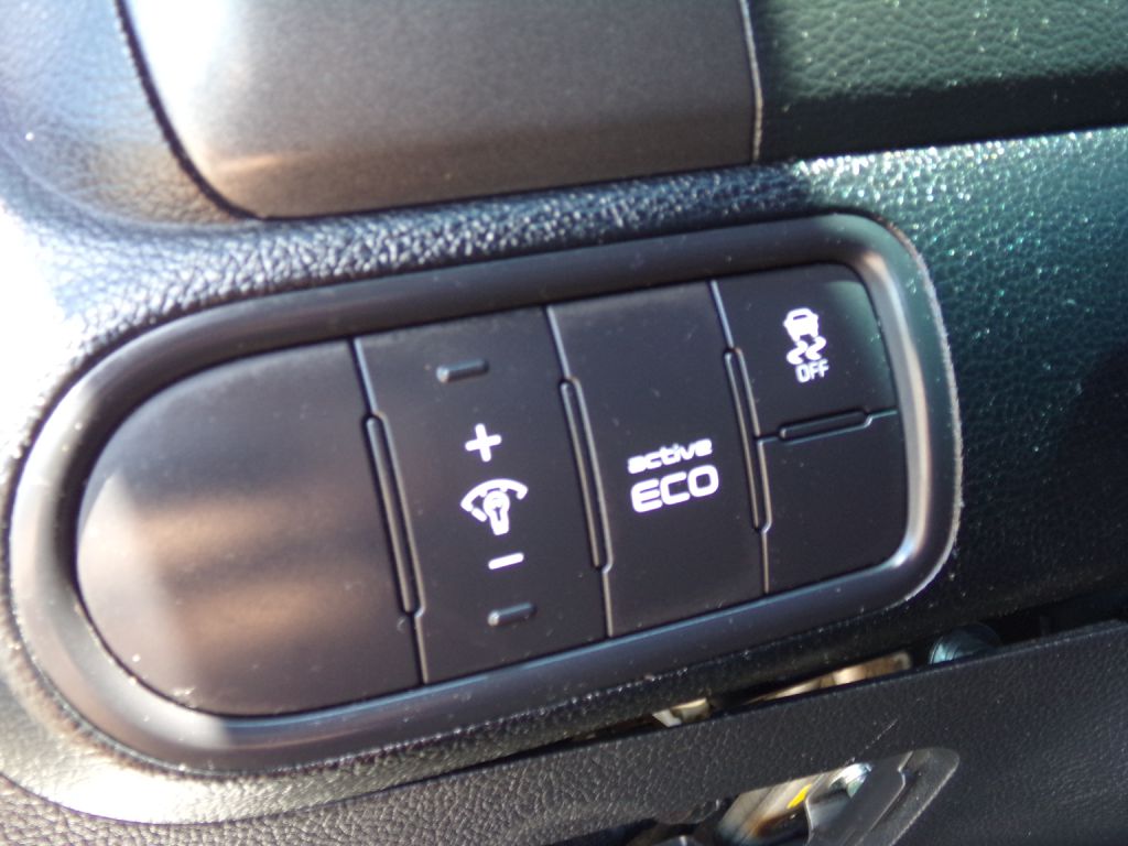 Photo 13 of this KIA FORTE