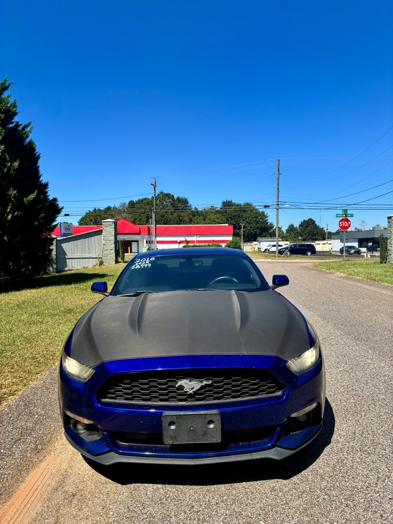 Photo 14 of this FORD MUSTANG