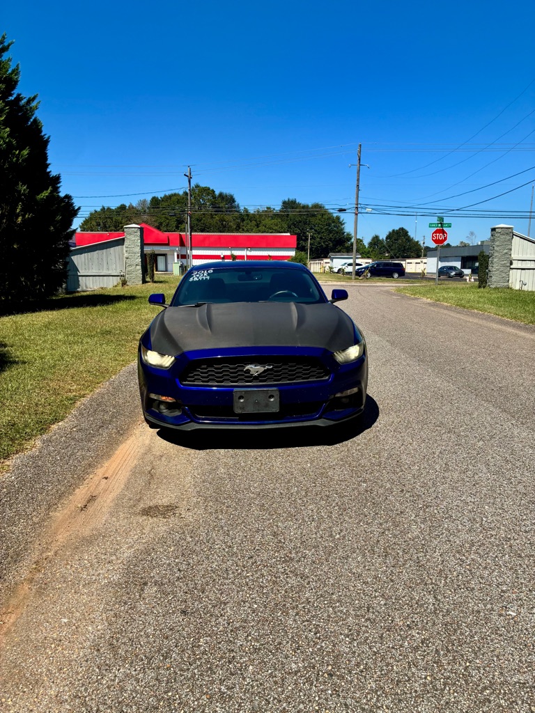 Photo 18 of this FORD MUSTANG