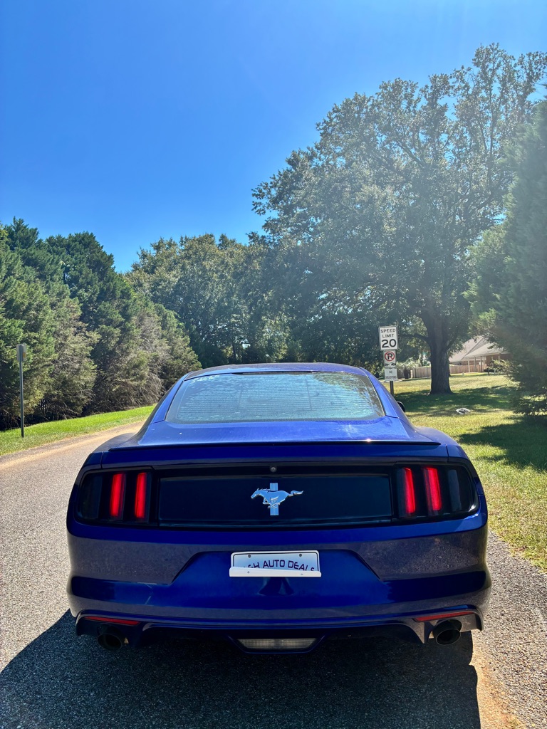 Photo 15 of this FORD MUSTANG