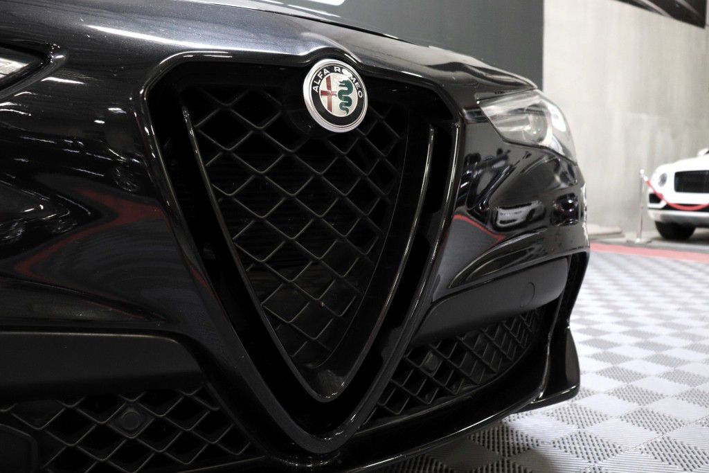 Photo 14 of this ALFA ROMEO STELVIO QUADRIF