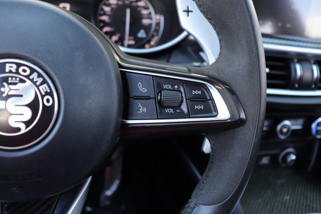 Photo 46 of this ALFA ROMEO STELVIO QUADRIF