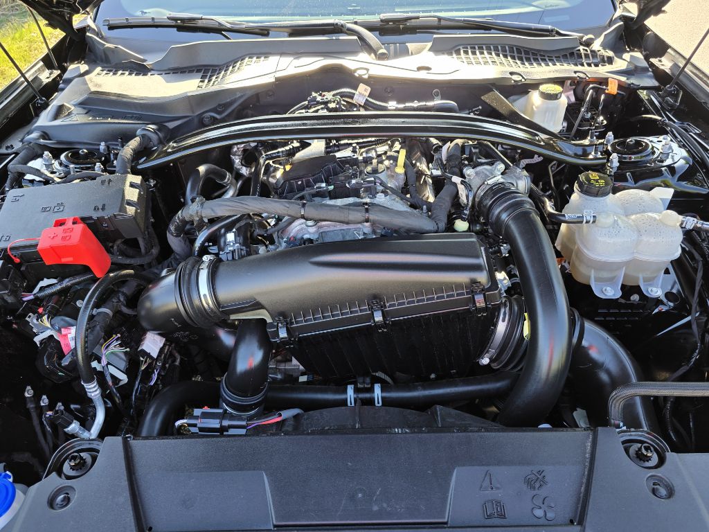 Photo 21 of this FORD MUSTANG