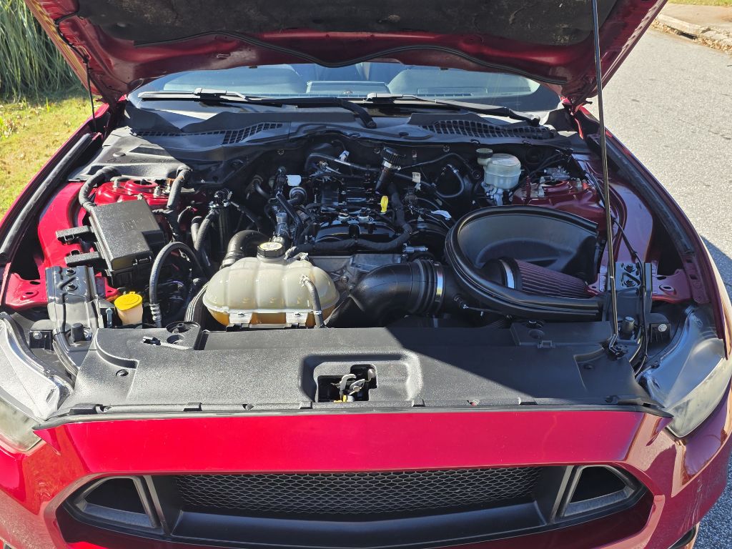 Photo 20 of this FORD MUSTANG