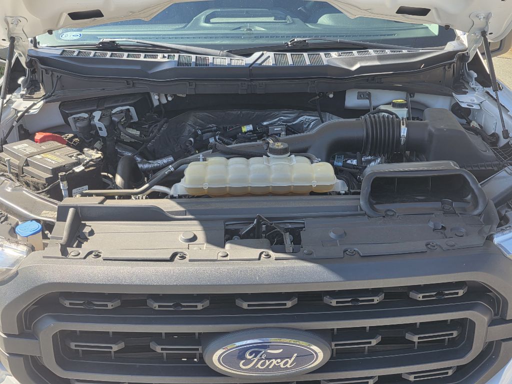 Photo 24 of this FORD F150