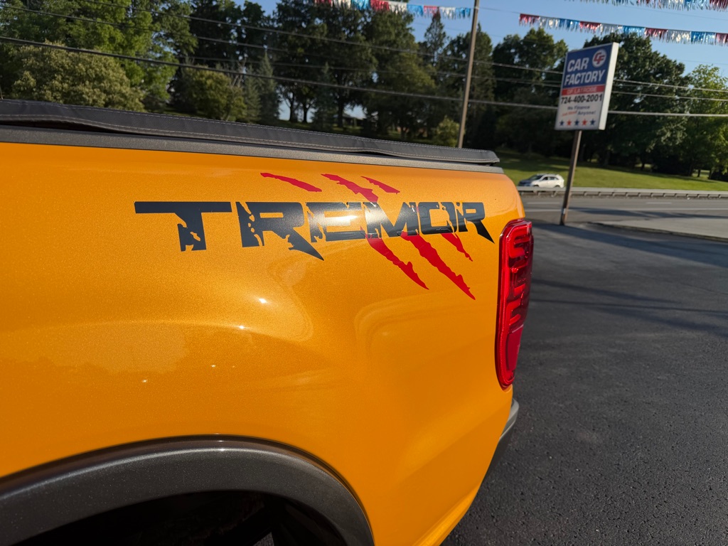 Photo 9 of this FORD RANGER TREMOR
